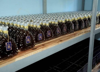 Hướng dẫn bạn cách ngâm và sử dụng rượu thuốc đúng cách