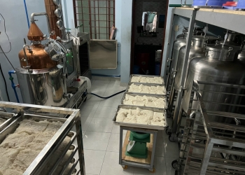 Công nghệ sản xuất rượu thảo dược có gì nổi bật?
